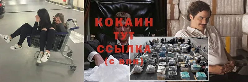 купить наркотик  Иркутск  блэк спрут сайт  нарко площадка как зайти  Cocaine FishScale 